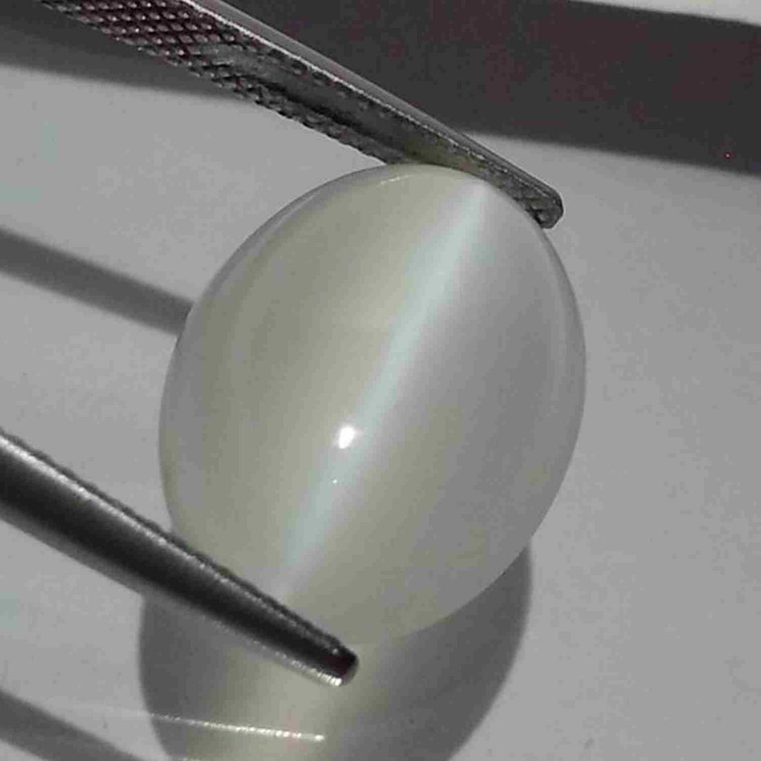 10.16 ct Natural Moonstone Cat (1 of 5)