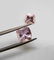 Morganite Pair - 1.70 ct - 4