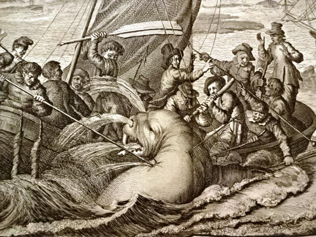 c1730 Engraving Walrus Hunting Nova Zembla (1 of 2)