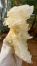 397 Grams Undamaged Fedan Quartz Crystal 141X77X84 mm - 5