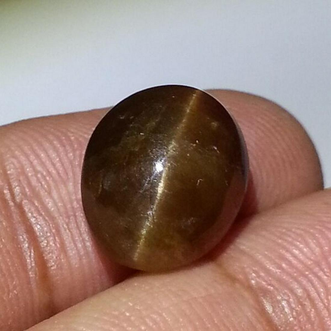 10.31 ct Natural Apatite cat's Eye: No Reserve! Title: 10.31 ct Natural Apatite cat's Eye Color/Clarity: Semi Transparent Carat Weight: 10.31 Size/Dimensions: 13.70 x 11.10 x 7.70 Additional Information: Oval - Africa Shipping: Domestic
