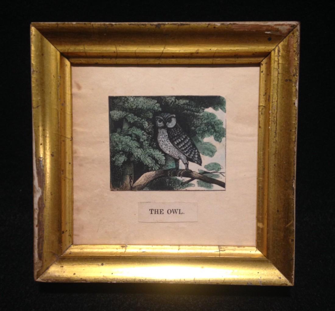C1840 hand colored owl woodcut. (1 of 2)
