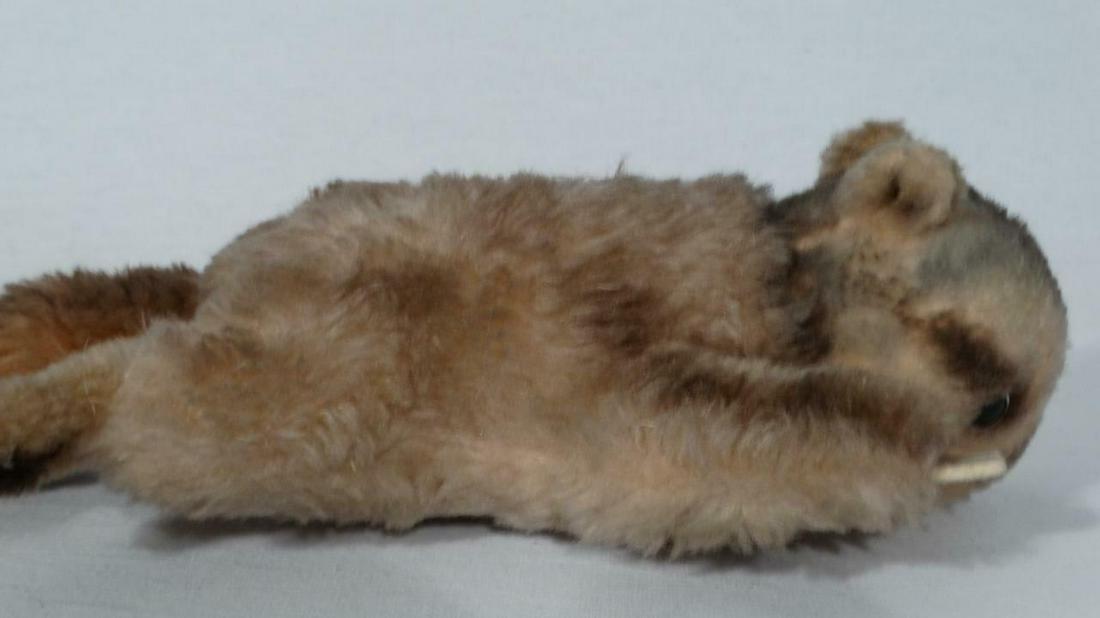 1969 STEIFF COSY MURMEL SITTING 22CM 9 INCHES 4850/22 (1 of 11)