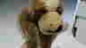 item-84262972=2