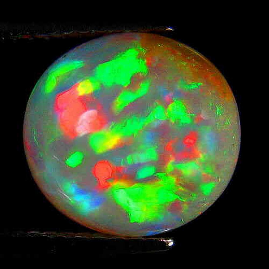 3.93 ct multi flashy floral harlequin 3D welo opal (1 of 13)