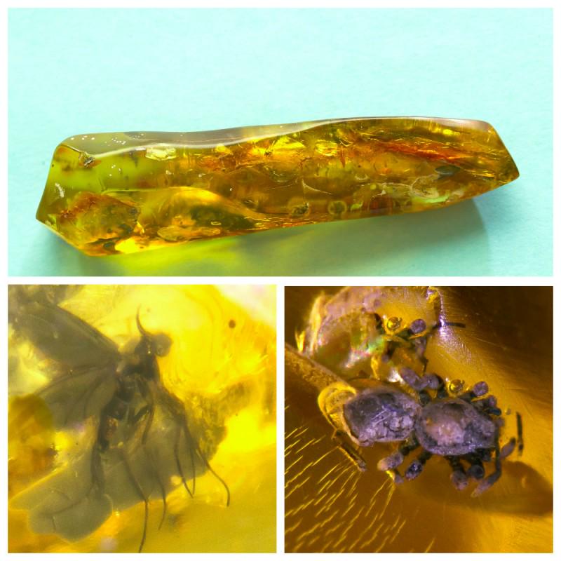 23 g. 100% natural Baltic amber stone fossil with: There are 3 inclusions in the stone, 1 of them is a spider. Weight: 23 gram Size: 9x10x46 mm Inclusion: rare Spider (Arachnid) and Fly (Diptera) Age: 45-50 million years old Stone: 100% natural Baltic
