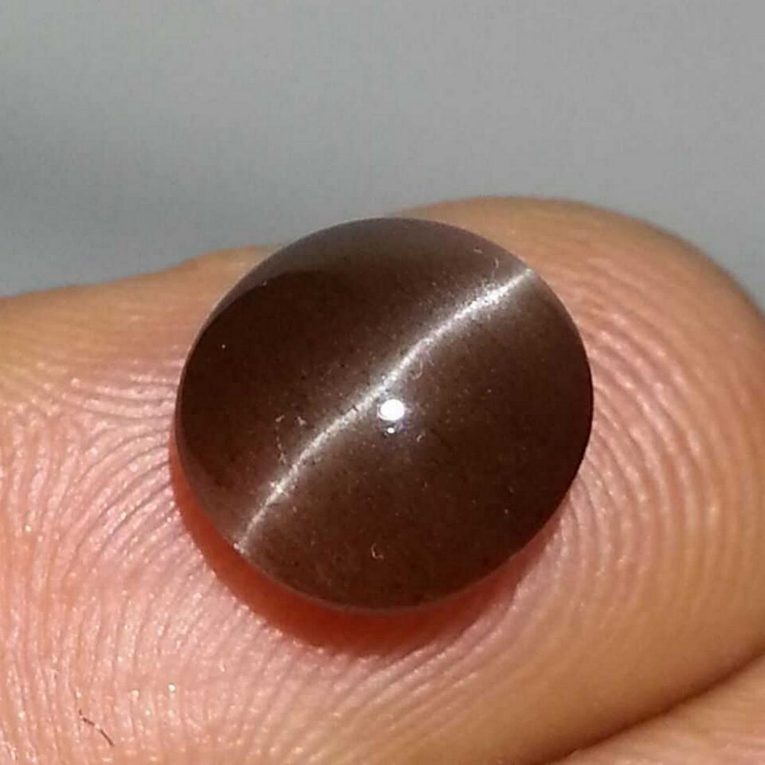 Natural Scapolite Cat's Eye 2.95 ct: No Reserve! Title: Natural Scapolite Cat's Eye 2.95 ct Color/Clarity: Opaque Gemstones: Loosegemstone Carat Weights: 2.95 Size/Dimensions: 9.50 x 9.00 x 4.50 Additional Information: Round - Srilanka S