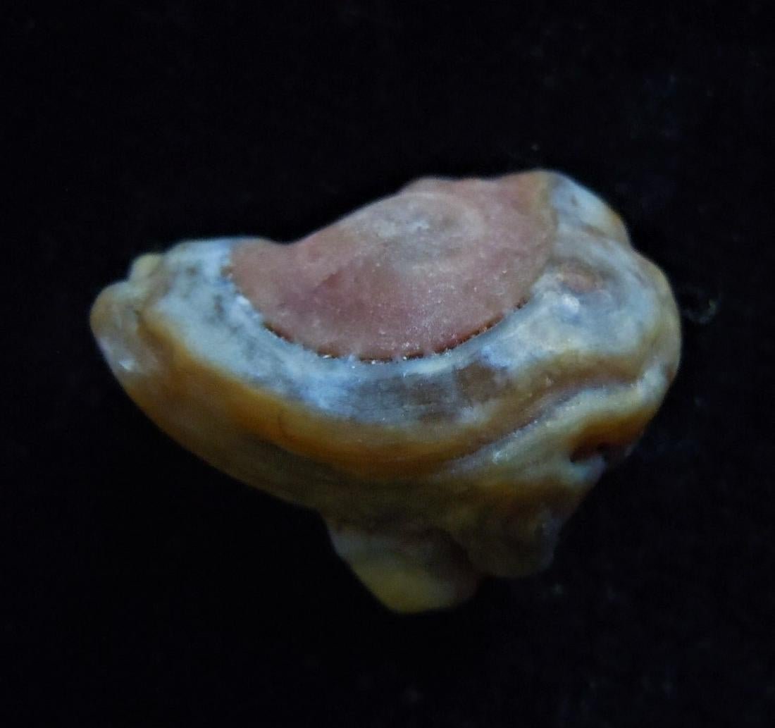 EXCELLENT EYE AGATE - 100% NATURAL: Title: EXCELLENT EYE AGATE - 100% NATURAL Origin: Alashan Area, Gobi Desert, Inner Mongolia, China Size: 2.1x1.5x1.2 cm / 5 gram Description: pink and green eye agate with concentric sculpture Reserve