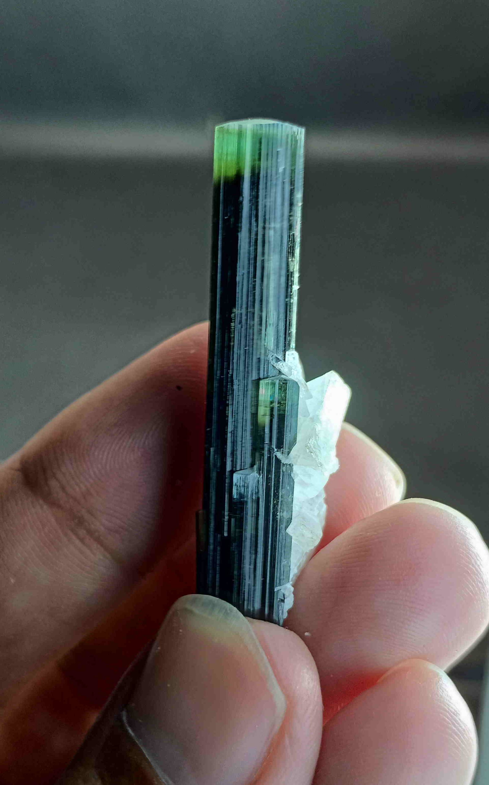 6 Gram Amazing Natural Green Cap Tourmaline With Albite: Title: 6 Gram Amazing Natural Green Cap Tourmaline With Albite Specimen Treatment: Natural Gemstones: Tourmaline Weight: 6 Gram Size/Dimensions: 43x11x8 mm Origin: Pakistan Reserve: $10.00 Shipping: