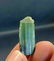 4 Gram Amazing Natural Green Cap Tourmaline Specimen - 2