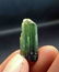 4 Gram Amazing Natural Green Cap Tourmaline Specimen - 3