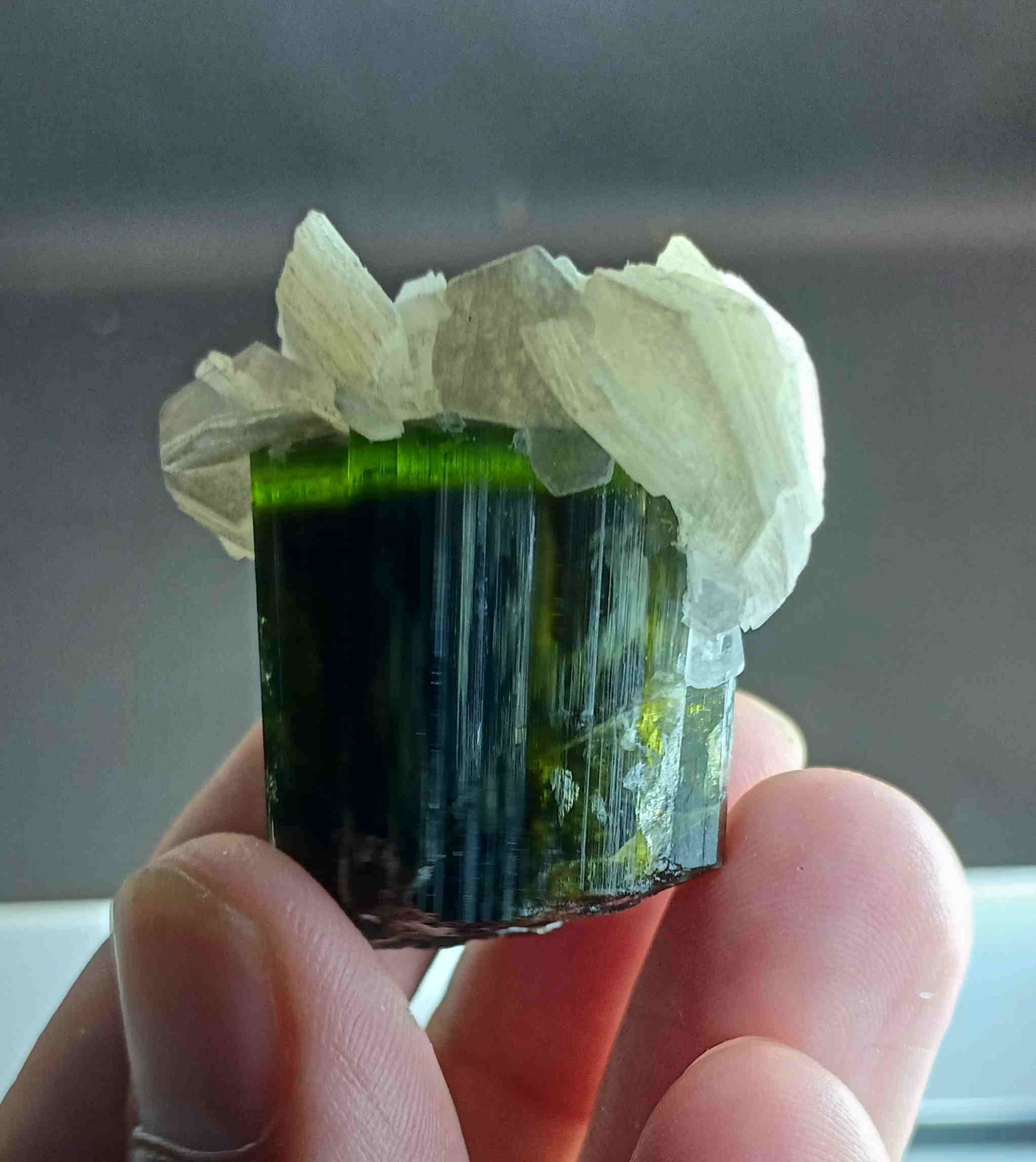 36 Gram Very Amazing And Beautiful Natural Green Cap: Title: 36 Gram Very Amazing And Beautiful Natural Green Cap Tourmaline On Mica Specimen Treatment: Natural Gemstones: Tourmaline Weight: 36 Gram Size/Dimensions: 39x36x25 mm Origin: Pakistan Reserve: 