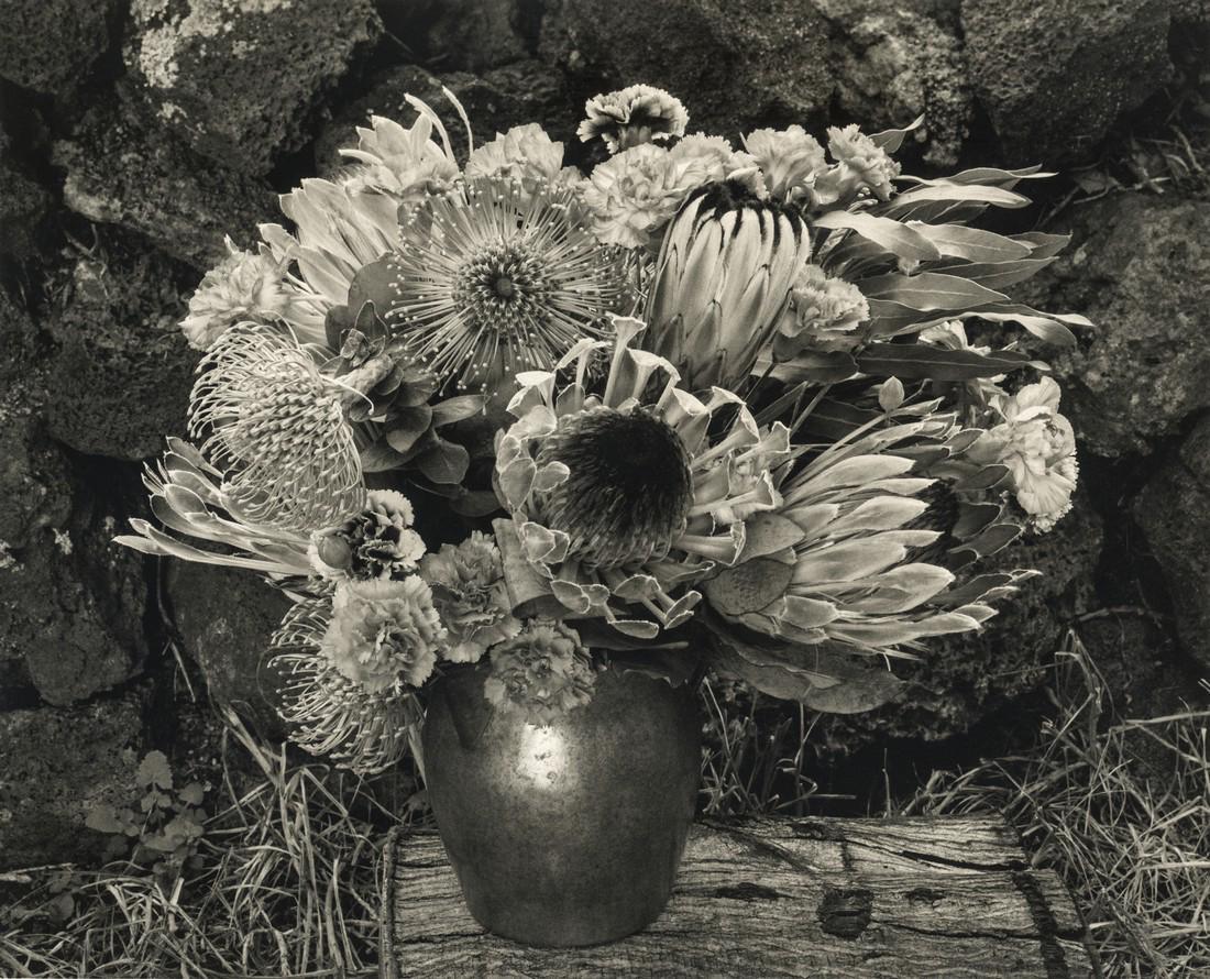 Paul Caponigro, Flower Vase, Maui, Hawaii, 1977: Artist: Paul Caponigro Title: Flower Vase, Maui, Hawaii, 1977 Medium: Photo Litho, 1993, USA Dimensions: 9.2x7.5" Additional Information: Heat Wax Mounted on 11x14" Conservation Board Artist Bio: Paul