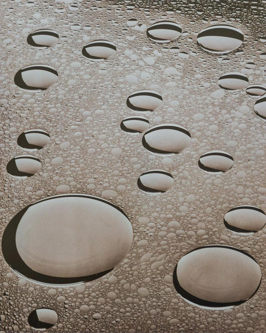 Peter Keetmann, Oil Drops, 1956 (1 of 1)