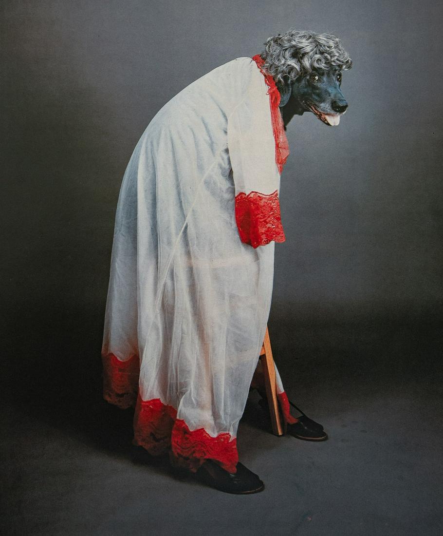William Wegman, Tall Dog (1 of 1)