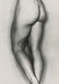 Edward Weston, Nude, 1939