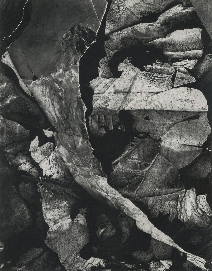 Minor White, Moencopi Strata, Capitol Reef, Utah, 1962 (1 of 1)