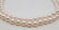 14 kt. Yellow Gold - Top grade 8.5x9mm Akoya Pearls - - 7