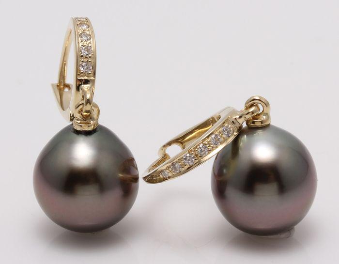 14 kt. Yellow Gold - 9x10mm Peacock Tahitian Pearl: Emerging from the tropical lagoons of French Polynesia, these Tahitian pearls have been hand selected for their natural beautiful peacock green colour with shimmering hues. The yellow gold and diamond