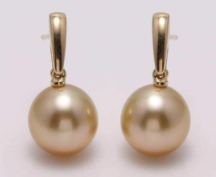 14 kt. Yellow Gold - 10x11mm Golden South Sea Pearls -: Produced by the gold-lipped Pinctada Maxima Oyster in the warm waters of Indonesia, these pearls have a natural magnificent deep golden honey color and look beautiful with the yellow gold earrings. Pe