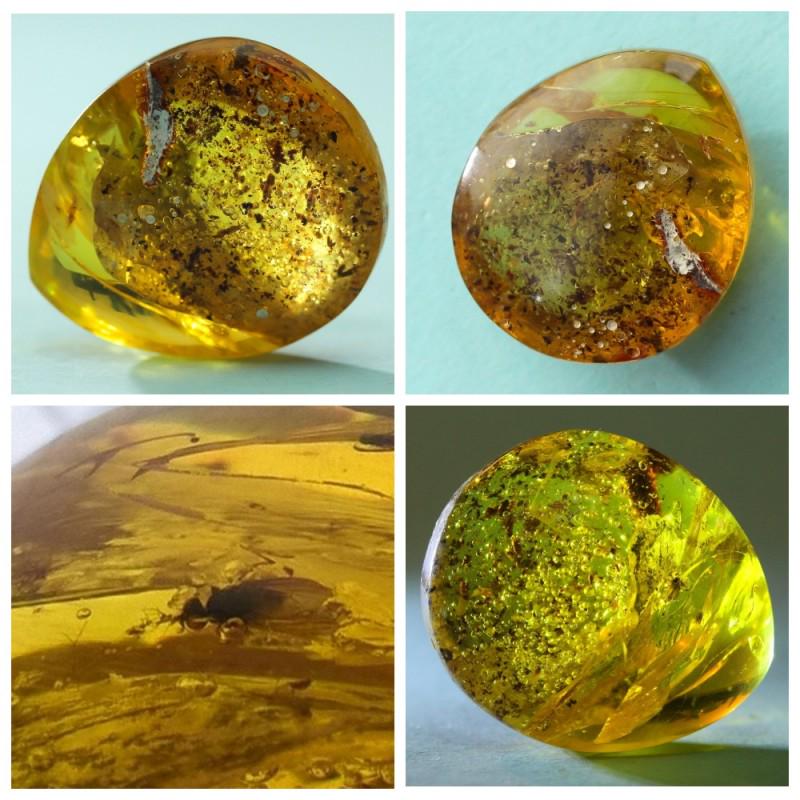 11.2 g. insects in 100% Natural Baltic amber stone 2: Faceted pendant shape unique amber piece with inclusion which is 45-50 million years old. Collectible piece! Extra big inclusion. Weight: 11.2 gram Inclusion: 2 Flys (Diptera) Age: 45-50 million years
