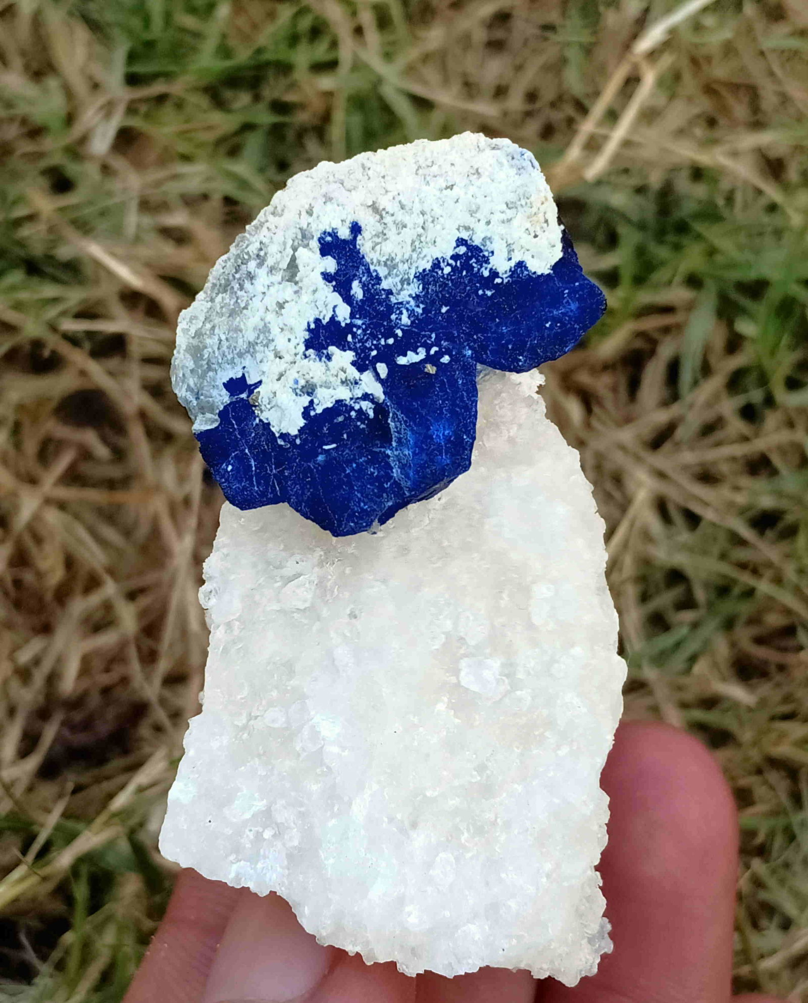 60 Gram Top Quality Well Terminated Natural Lazurite: Title: 60 Gram Top Quality Well Terminated Natural Lazurite Specimen Treatment: Natural Gemstones: Lazurite Weight: 60 Gram Size/Dimensions: 57x37x26 mm Origin: Pakistan Reserve: $15.00 Shipping: Dome