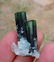 7 Gram Amazing Well Terminated Natural Green Cap