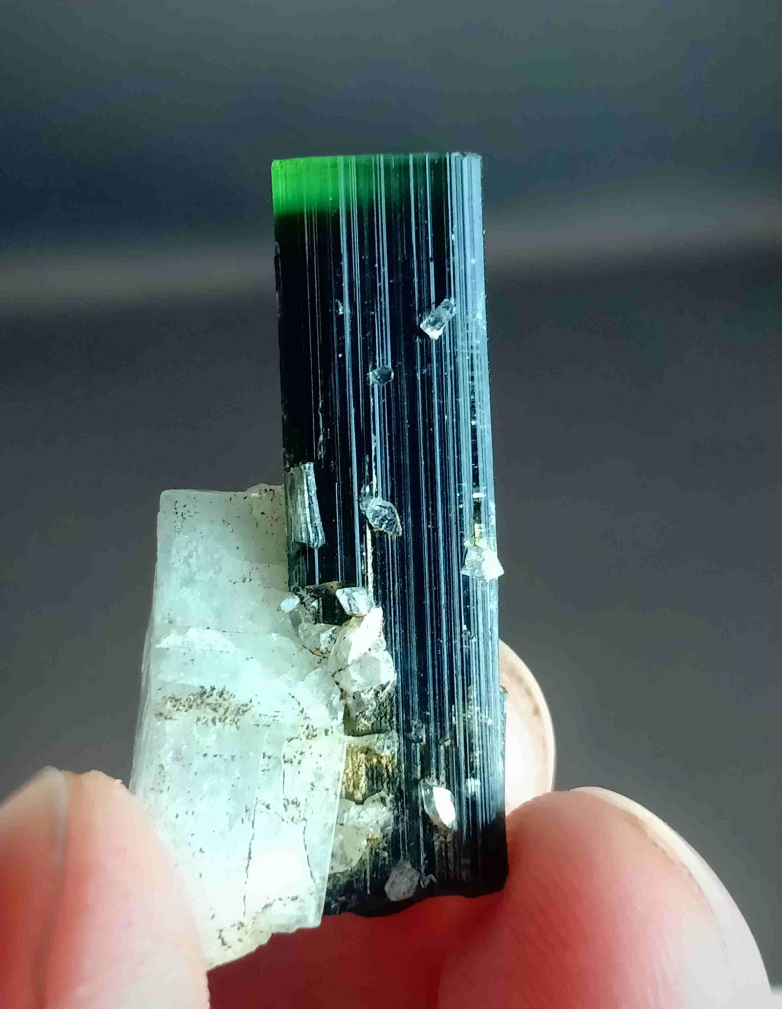 4 Gram Intersting Natural Green Cap Tourmaline With: Title: 4 Gram Intersting Natural Green Cap Tourmaline With Albite Specimen Treatment: Natural Gemstones: Tourmaline Weight: 4 Gram Size/Dimensions: 26x13x7 mm Origin: Pakistan Reserve: $10.00 Shipping