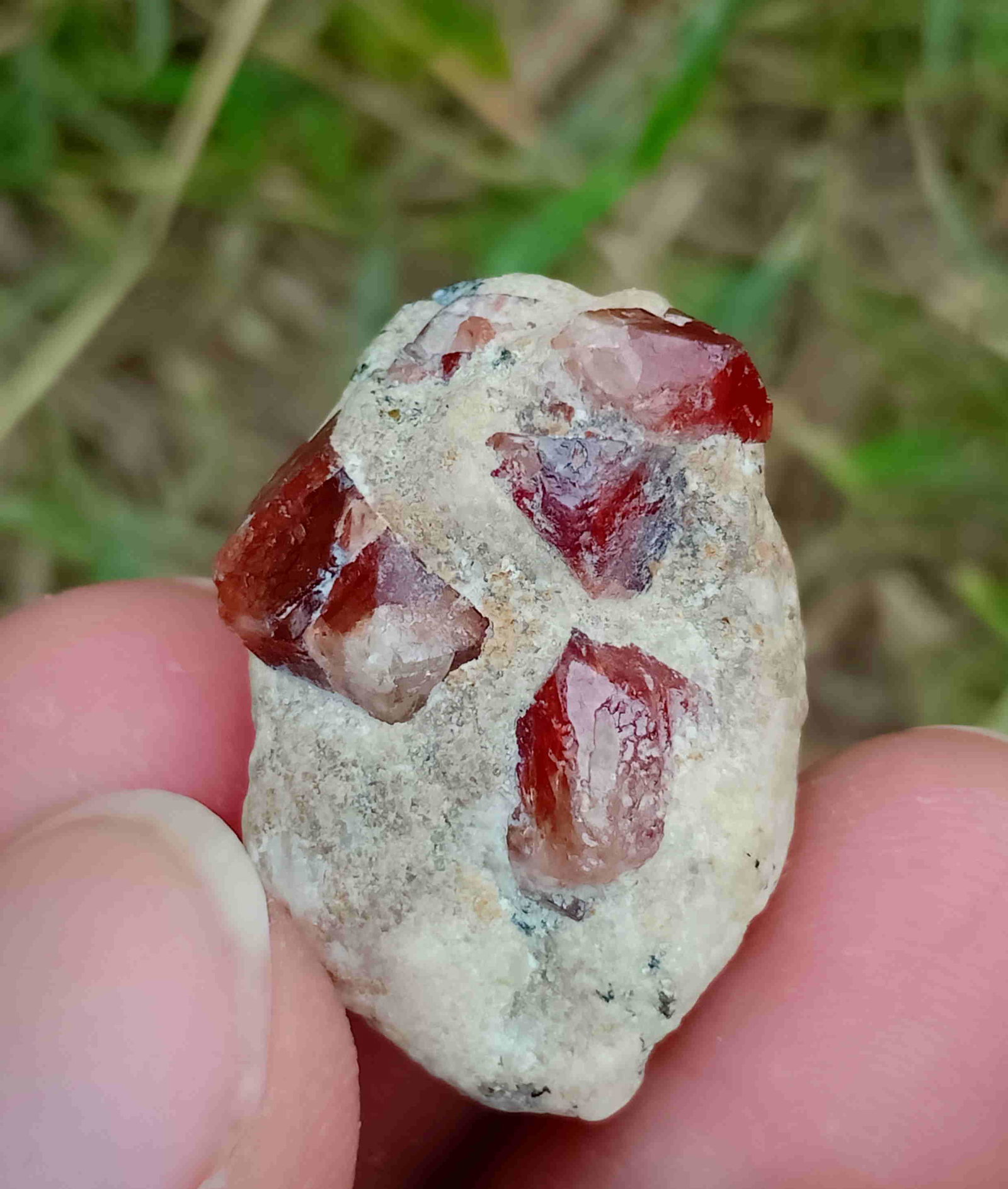 9 Gram Beautiful Natural Zarcon Specimen: Title: 9 Gram Beautiful Natural Zarcon Specimen Treatment: Natural Gemstones: Zarcon Weight: 9 Gram Size/Dimensions: 25x17x11 mm Origin: Pakistan Reserve: $10.00 Shipping: Domestic: Flat-rate of $15.