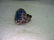 Vintage Sterling Silver Lapis Lazuli Freeform LORD OF - 6