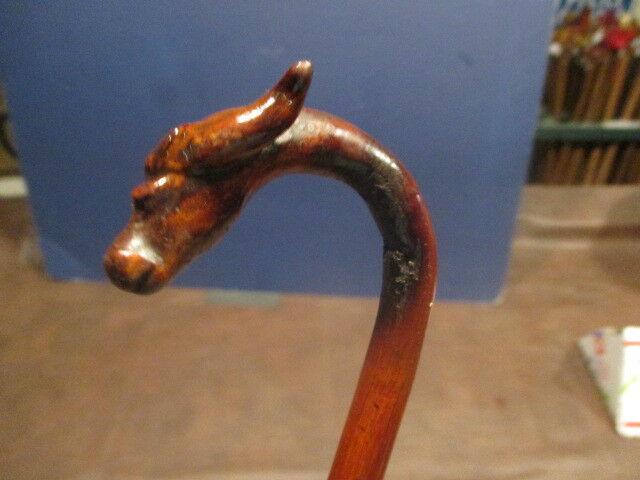 Water Buffalo Cane (1 of 12)