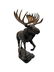 Bronze sculpture of a moose - 8