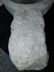 Antique stoup in Ascolano travertine - 4