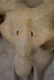 Brucanio of arite 18th century - 4
