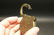 Cast Iron Winchester Firearms Ammo Box Padlock Lock & - 6