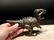 Cast Iron Dinosaur Tyrannosaurus Rex Nut Cracker - 4