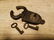 Wrought Iron Trunk Chest Box Crab Lock Key Padlock - 11