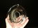 Table Top Footed Glass Wasp Fly Bug Trap Jar - 10