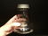 Table Top Footed Glass Wasp Fly Bug Trap Jar - 9