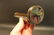 Brass Kaleidoscope "London 1917" Toy - 4