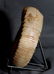 Jurassic Ammonite With Top Conservation : - 7