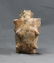 Outstanding Knoby Ammonite : Mammites Nodosoides - 5