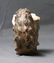 Outstanding Knoby Ammonite : Mammites Nodosoides - 9