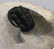Fossil Trilobite : Diademaproetus Praecursor - 5