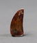 African T-rex Dinosaur Tooth : Carcharodontosaurus