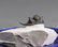 Long Spine Fossil Trilobite : Cyphaspis Eberhardiei