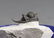 Long Spine Fossil Trilobite : Cyphaspis Eberhardiei - 2