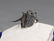 Long Spine Fossil Trilobite : Cyphaspis Eberhardiei - 4