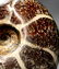 Breathtaking Ammonite : Desmoceras Latidorsatum - 8