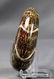 Breathtaking Ammonite : Desmoceras Latidorsatum - 4